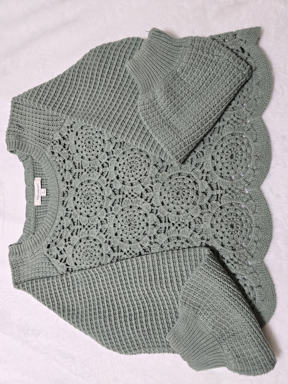 Francesca's Collections Sage Crochet Front Crew Sweater